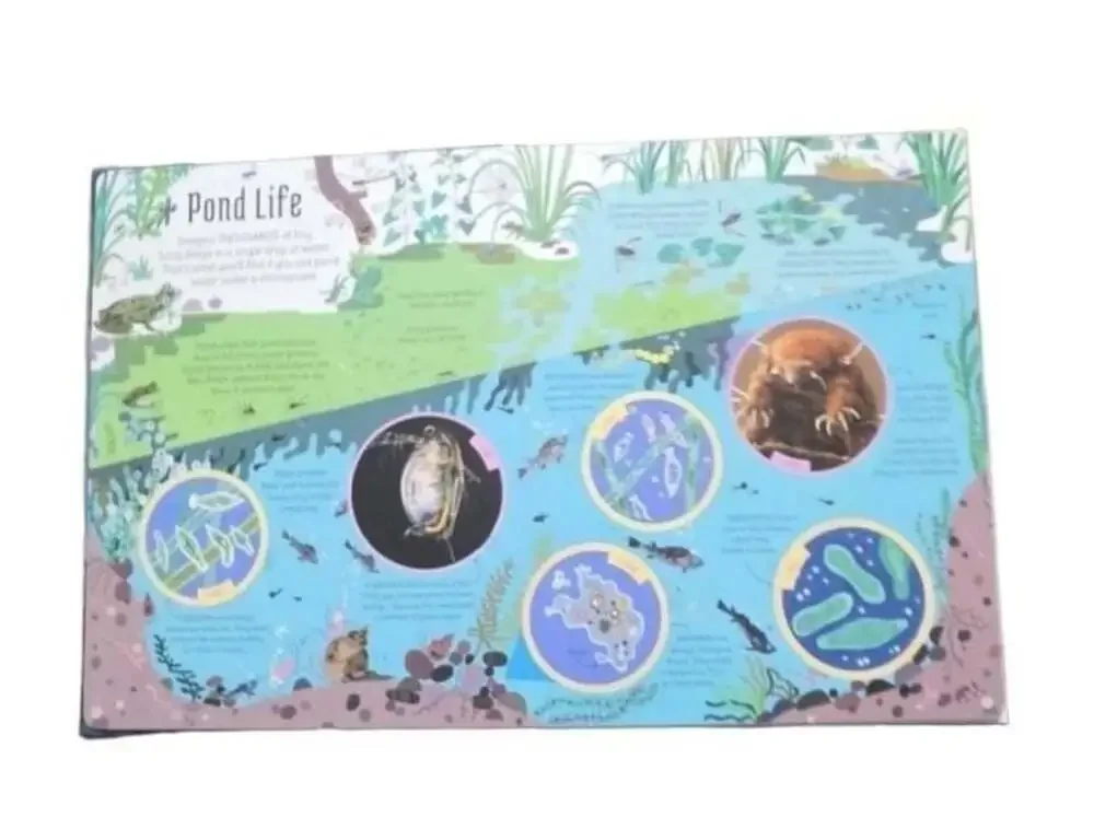 usborne brand new